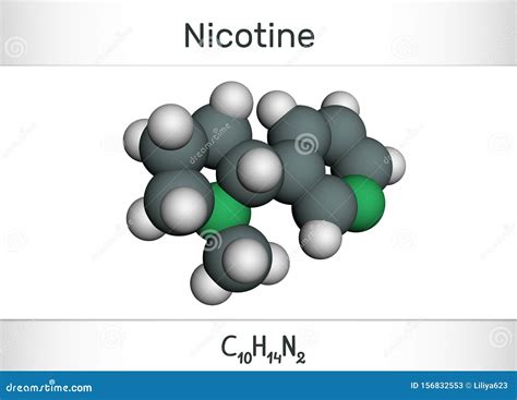 Nicotine Molecule, is Alkaloid , Found in the Nightshade Family of Plants. Molecule Model Stock ...