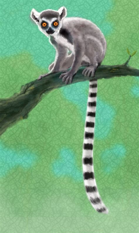 ring-tail lemur by gn125 on deviantART | Lemur art, Zoo animal painting ...