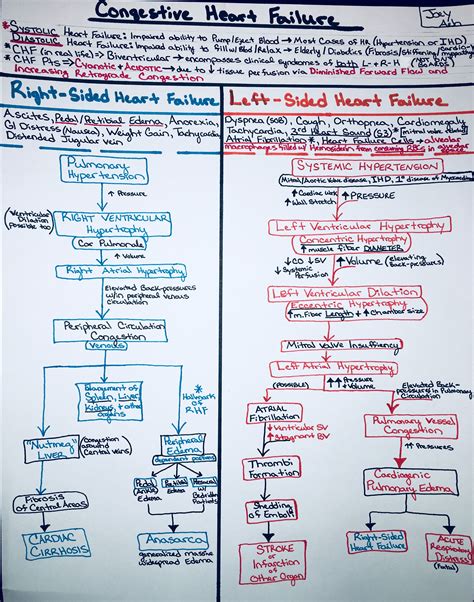 Heart Failure Pathophysiology Flow Chart - Flowchart Examples