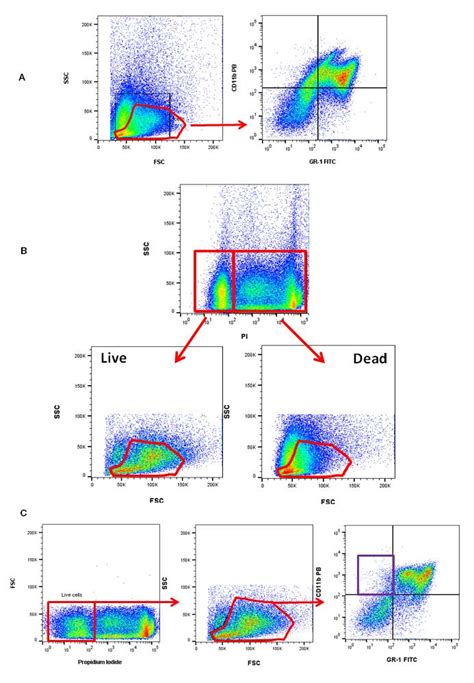 cell fixation protocol for flow cytometry