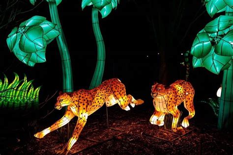 WildLanterns At Woodland Park Zoo Will Light Up Your Winter