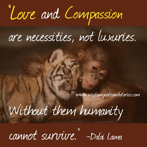 Love And Compassion Quotes. QuotesGram