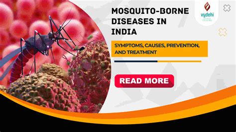 Mosquito-Borne Diseases in India: Symptoms, Causes, Prevention, and ...