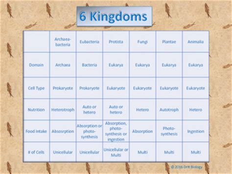 6 Kingdoms Chart by DrH Biology | TPT