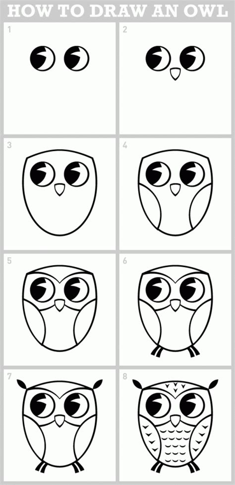 How to draw an owl