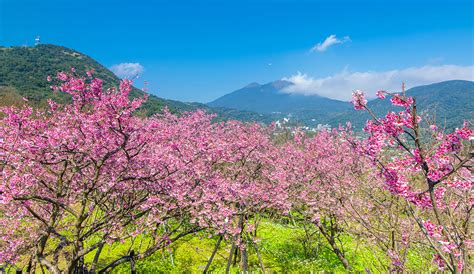 Beitou District: Tour Taipei Hot Springs & Yangmingshan Park