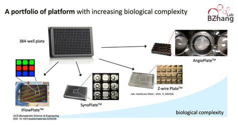 RESEARCH - BZHANG LAB