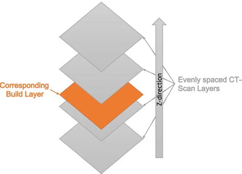 Illustration of how multiple CT-scan layers corresponds to a single... | Download Scientific Diagram