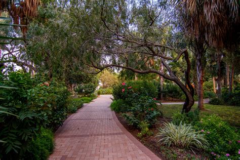 Hilltop Gardens > Gardens