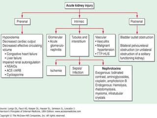 Pathophysiology of acute kidney injury | PPT