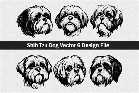 Shih Tzu Dog Vector SVG Graphic by Jennadesignsstore · Creative Fabrica