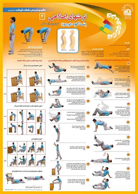 Corrective Exercise (Lordosis ) | Exercise, Pilates core exercises ...