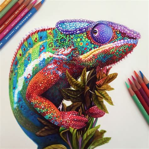 Chameleon Sketch on Behance