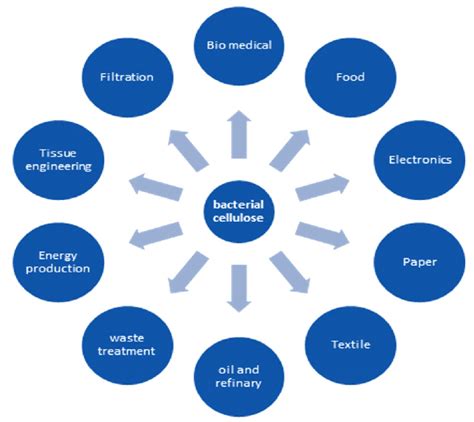 Applications of bacterial cellulose | Download Scientific Diagram