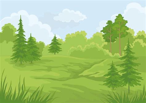 Forest landscapes vector illustrations