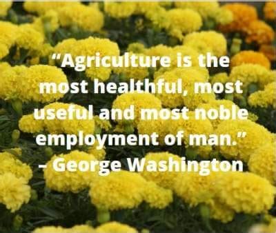 10+ Inspirational quotes on agriculture - dpquotes