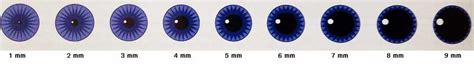 How to test Pupils with Penlight in Bulk — Mountainside Medical Equipment