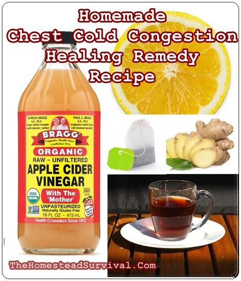 Homemade Chest Cold Congestion Healing Remedy Recipe | The Homestead ...