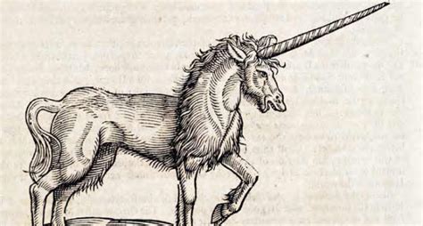 Unicorns – a brief history - Temple Illuminatus