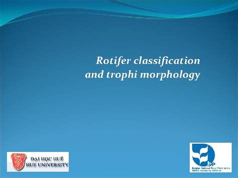 Rotifer classification and trophi morphology Rotifer trophi Differentiation