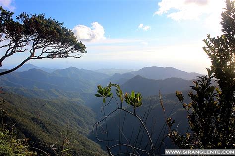 SIRANG LENTE: Mt. Hamiguitan, the beauty of a UNESCO World Heritage Site