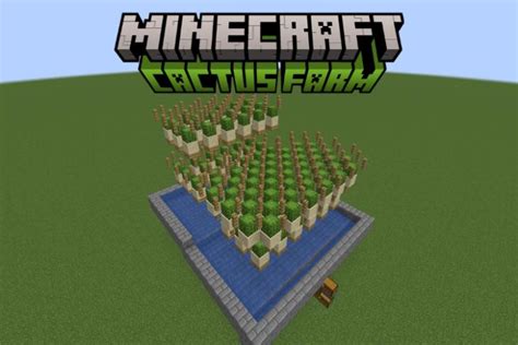 How to Make a Cactus Farm in Minecraft | Beebom