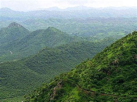 Mount Abu Wildlife Sanctuary Reviews - Mount Abu, Rajasthan Attractions - TripAdvisor