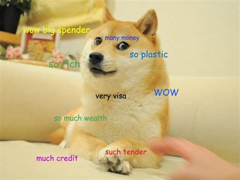 The Story Of Kabosu, The Dog Behind The Doge Meme