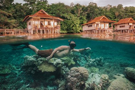 Don’t Dive? Snorkeling Raja Ampat is Incredible Too! | Papua Paradise