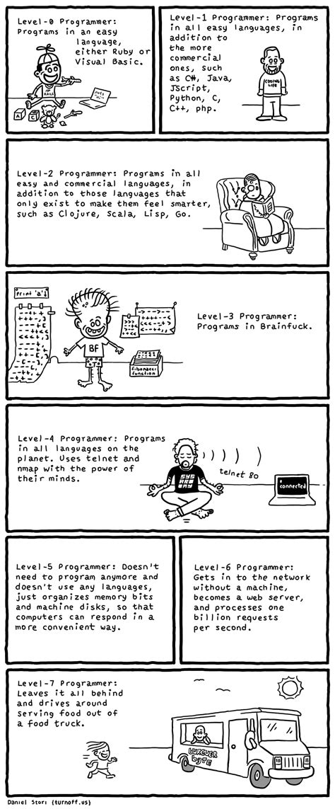 programmer levels