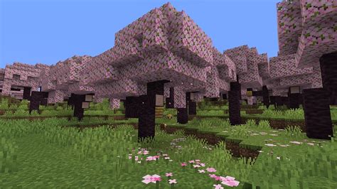 Minecraft adds new cherry blossom trees and biome to 1.20 update - Dexerto