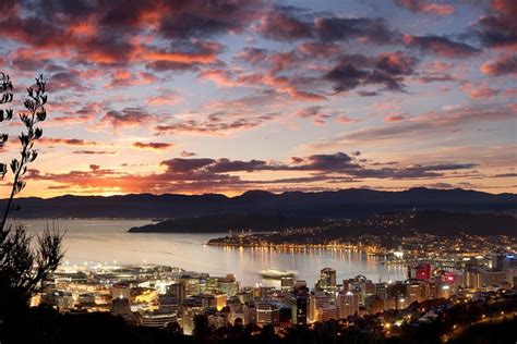 Wellington City Sights Guided Twilight Tour Including Dinner 2024