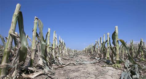 USDA Expands Drought Disaster Zones Across U.S. | Climate Central