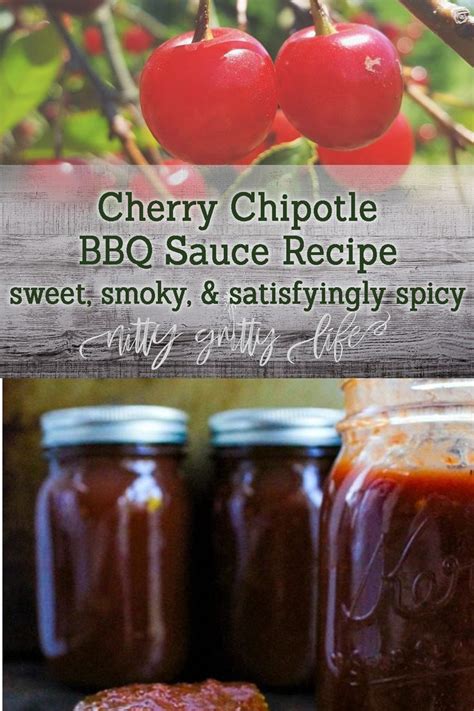 Fruit & Fire: Cherry Chipotle BBQ Sauce | Recipe | Bbq sauce, Bbq sauce ...