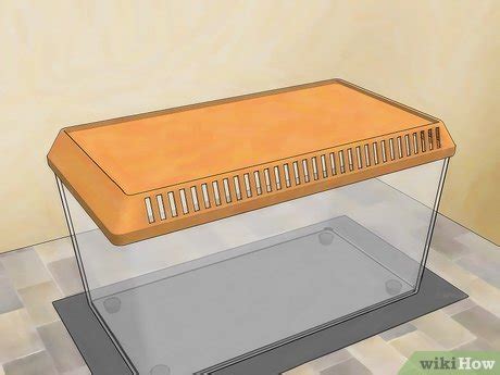 3 Ways to Care for a Centipede - wikiHow