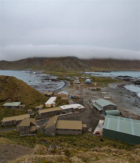 Macquarie Island station goes virtual – Australian Antarctic Program ...