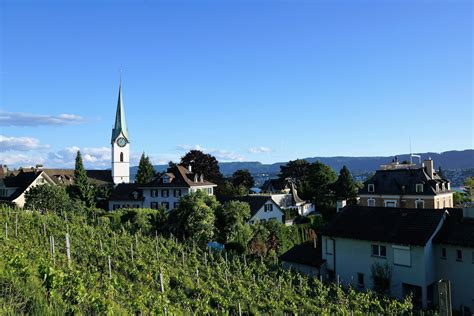 Vineyard and a church 1310823 Stock Photo at Vecteezy