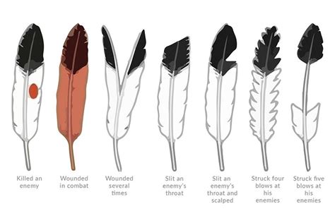 Native American war bonnets and feathers meaning | Native american eagle, Native american ...