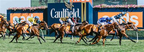 Caulfield Cup 2023 — Corporate Sports Unlimited