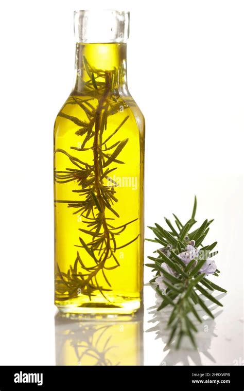 Homemade rosemary oil Stock Photo - Alamy