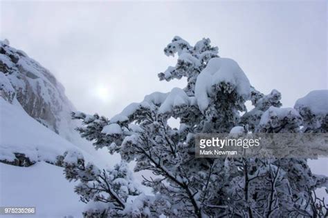 270 Mammoth Hot Springs Winter Stock Photos, High-Res Pictures, and Images - Getty Images