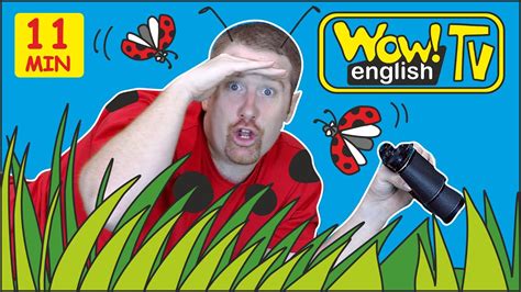 Animals in the Garden + MORE Stories with Steve and Maggie for Kids | Wow English TV | Your ...