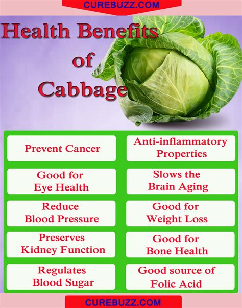 10 Health Benefits of Cabbage : CUREBUZZ