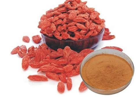 Freeze Dried Wolfberry Powder - manufacturer - undersun