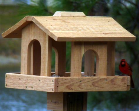 Diy cardinal bird feeder - rentshery