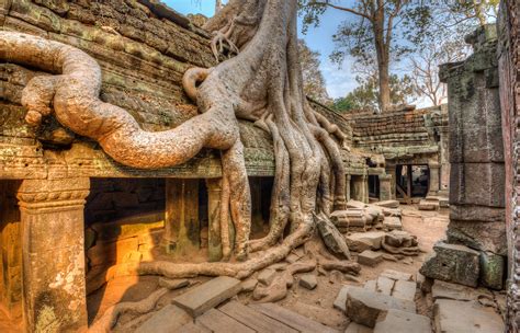Ta Prohm: the Jungle Temple - Angkor Grace