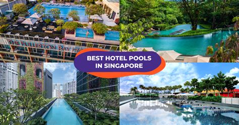 10 Hotels In Singapore With The Best Swimming Pools Including Infinity ...