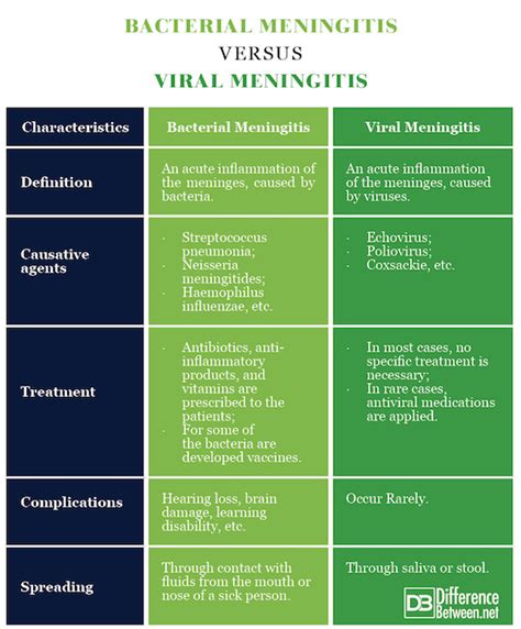 Difference Between Bacterial and Viral Meningitis | Difference Between