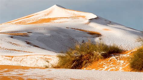 El Desierto Del Sahara