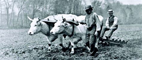 How Did Farmers Farm In The 1800s - Farmer Foto Collections